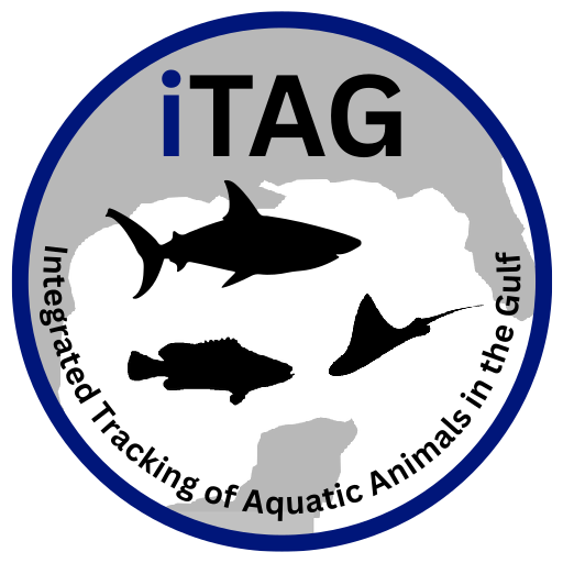 Logo of iTag Plone Site